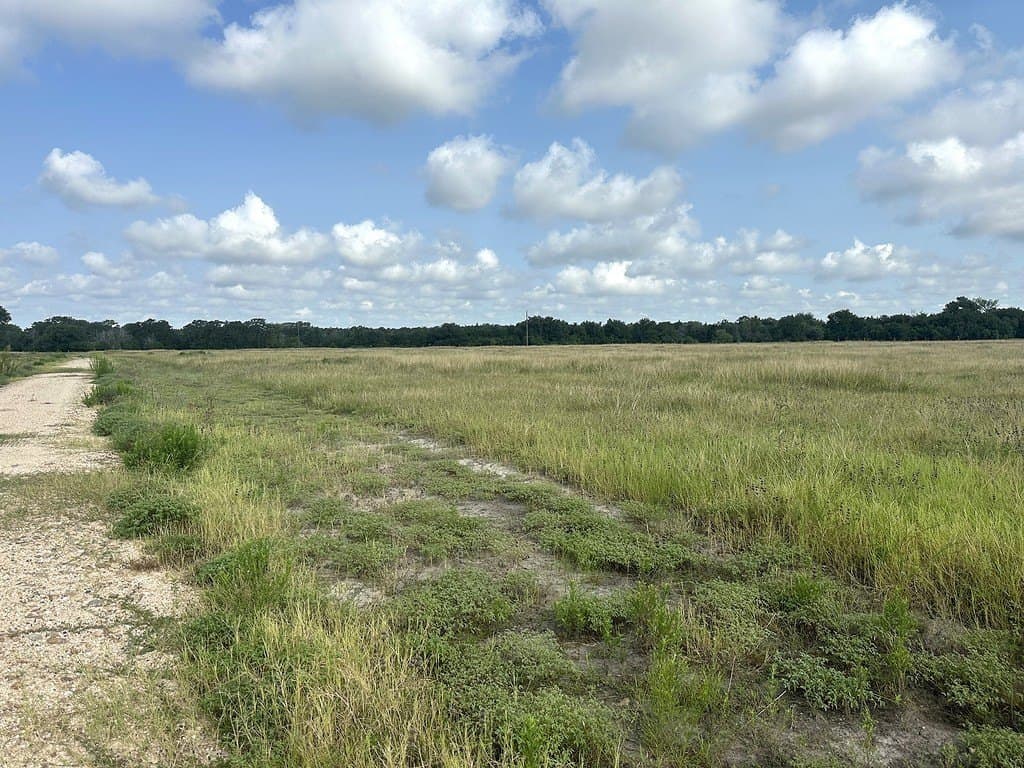 43.82 acres in Fayette County - photo 5