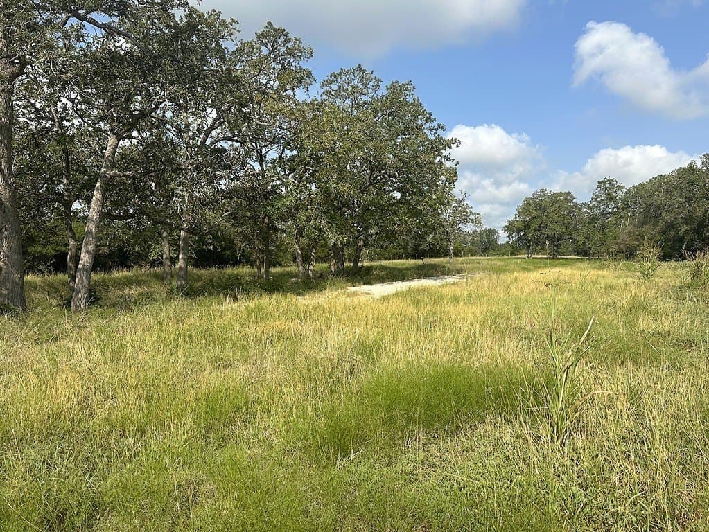 43.82 acres in Fayette County - photo 12