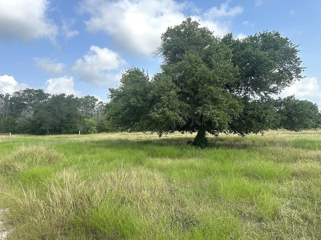 8345 Farm To Market Road 2145
