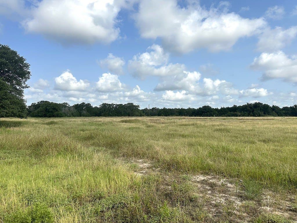 43.82 acres in Fayette County - photo 8