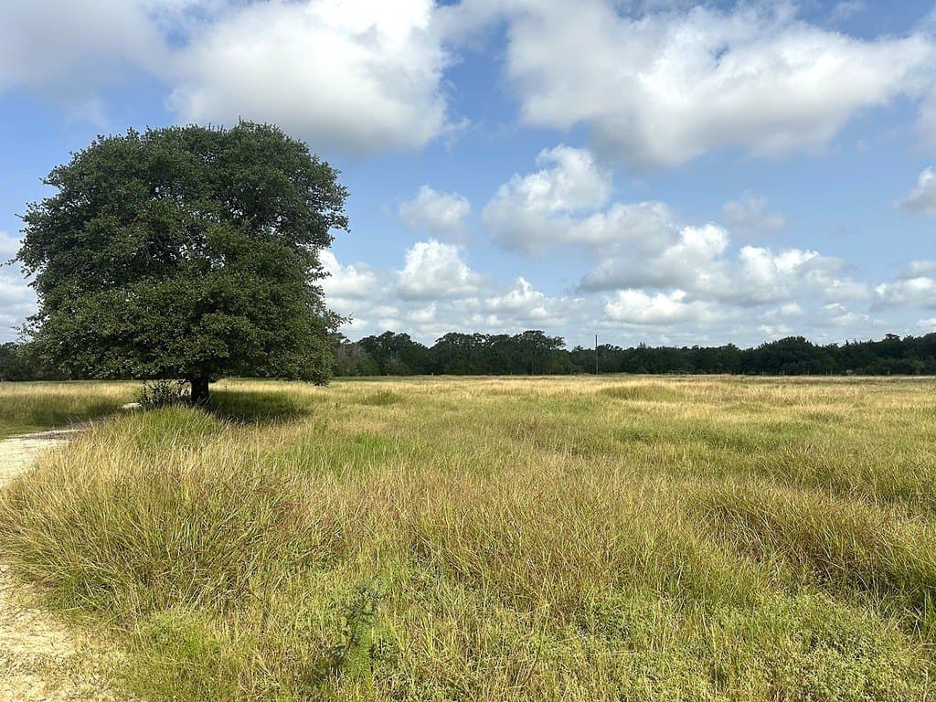 43.82 acres in Fayette County - photo 9