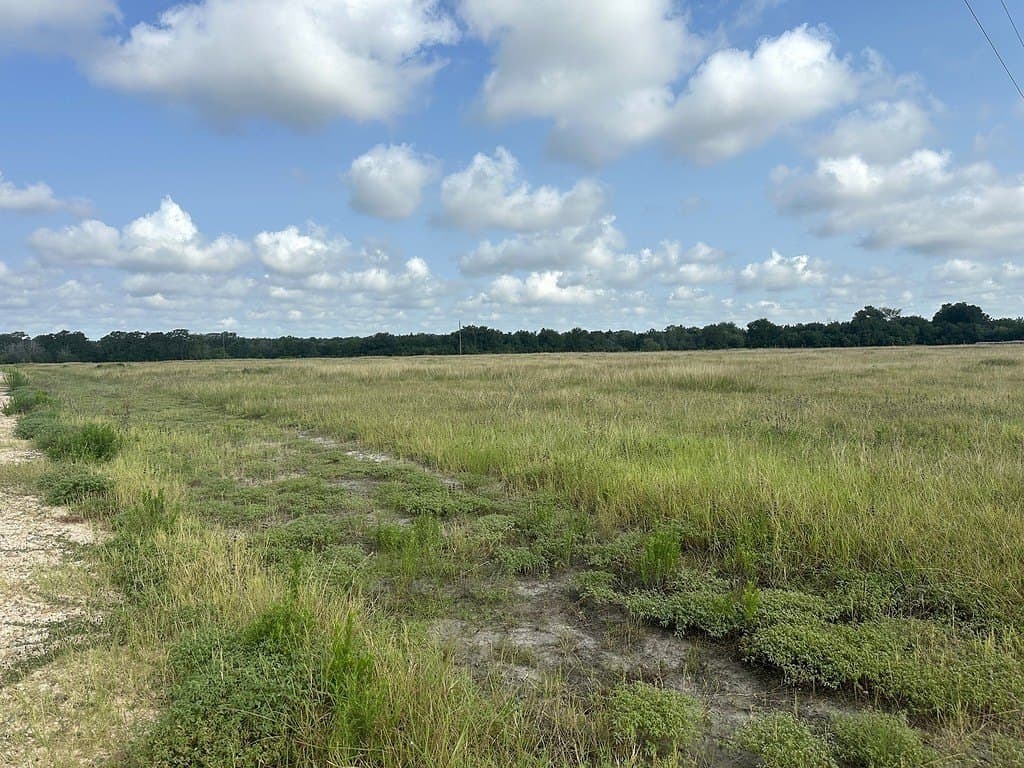 43.82 acres in Fayette County - photo 7