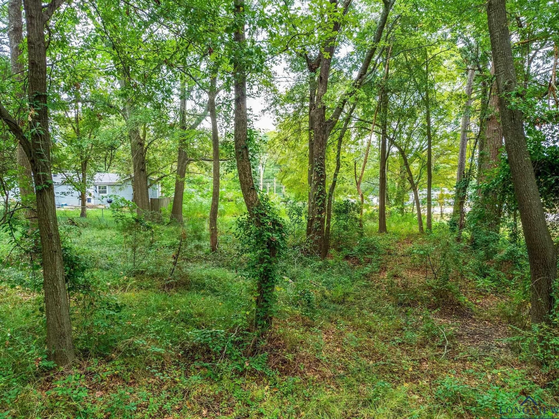 1.12 acres in Texas County - photo 22