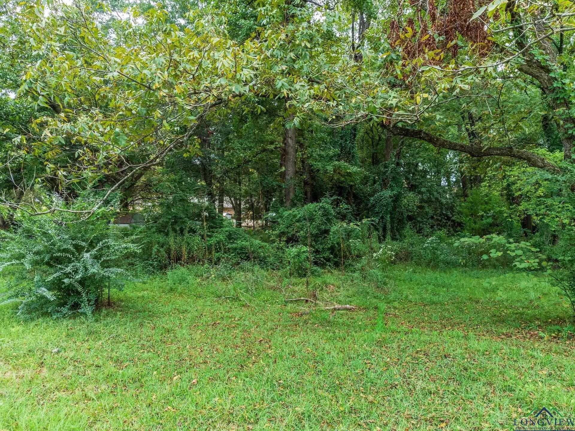 1.12 acres in Texas County - photo 23