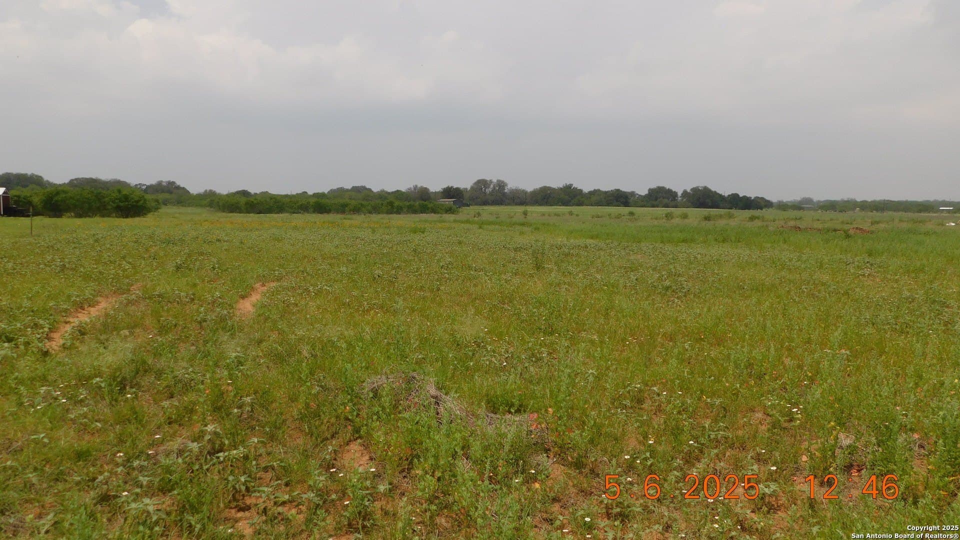 10.63 acres in Atascosa County - photo 4
