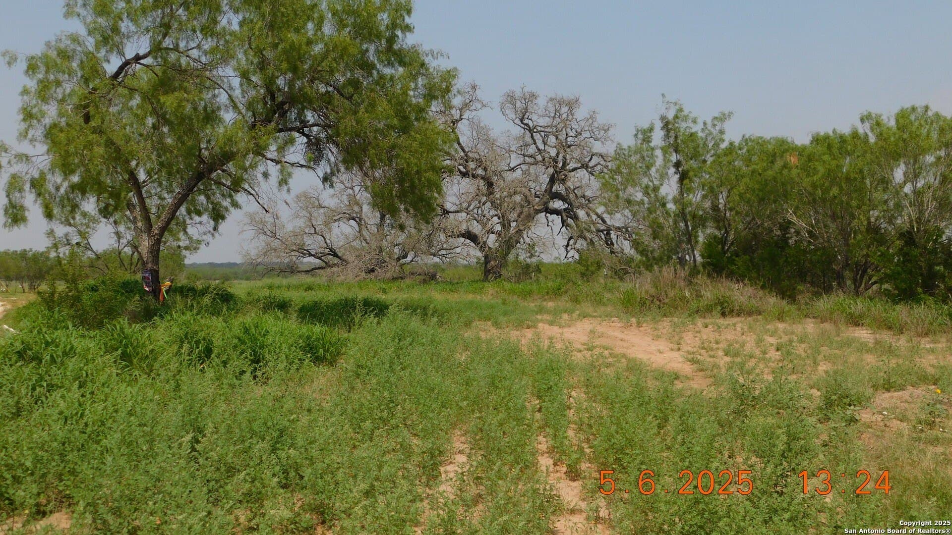 10.63 acres in Atascosa County - photo 2