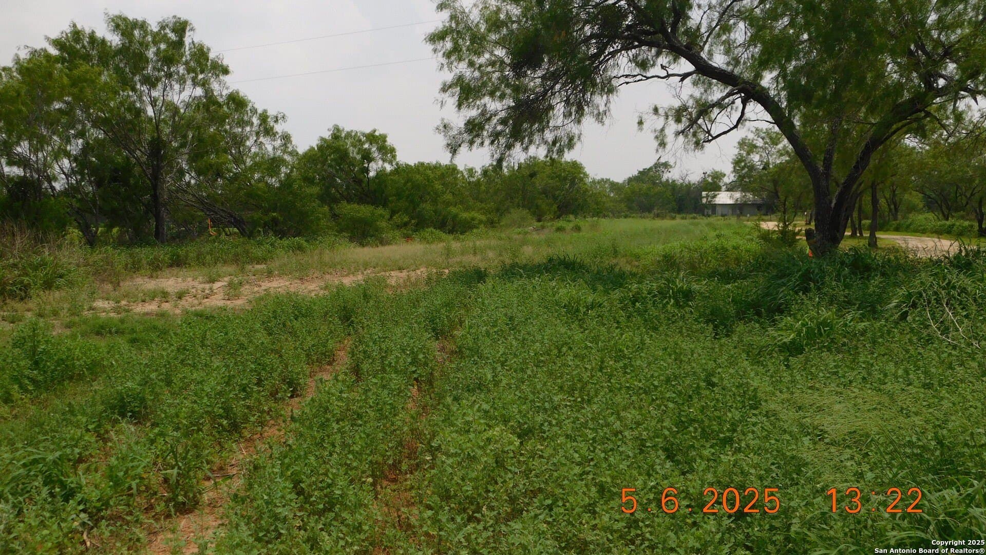 10.63 acres in Atascosa County - photo 3