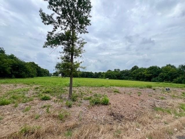 6.41 acres in Lamar County - photo 3