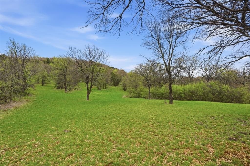 1.21 acres in Dallas County - photo 17