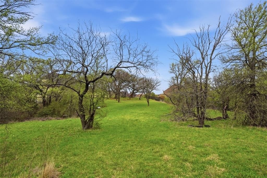 1.21 acres in Dallas County - photo 18