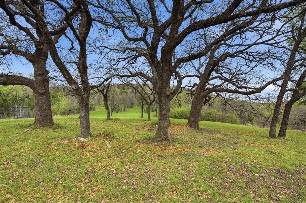 1.21 acres in Dallas County - photo 16