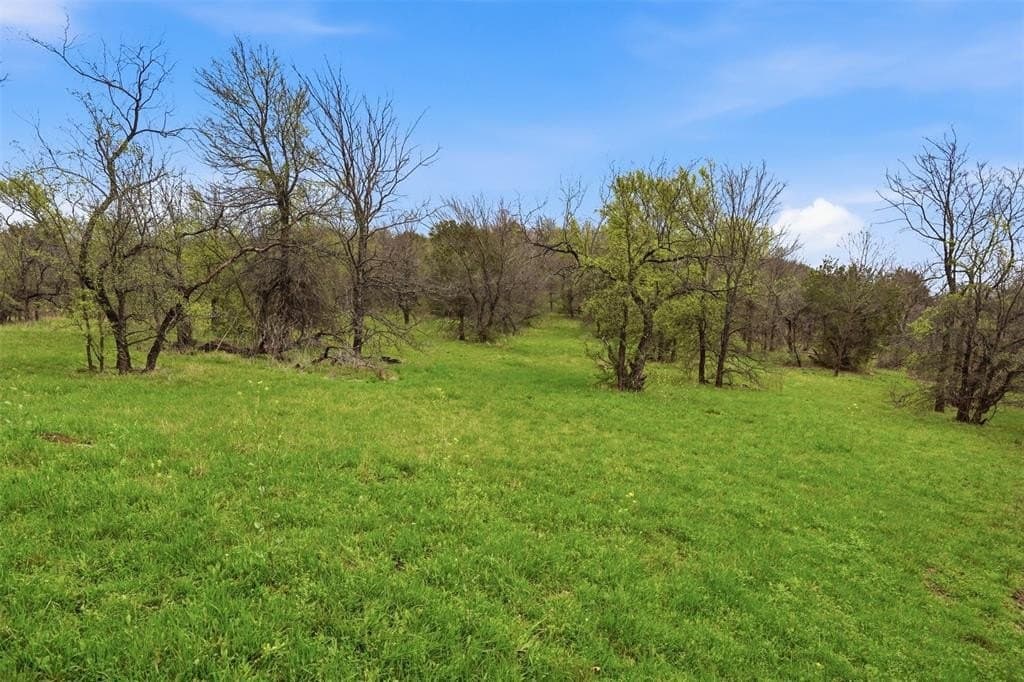1.21 acres in Dallas County - photo 19