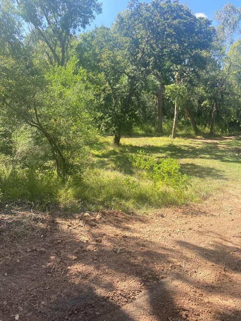 20 acres in Texas County - photo 15