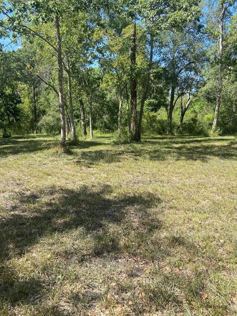 20 acres in Texas County - photo 11