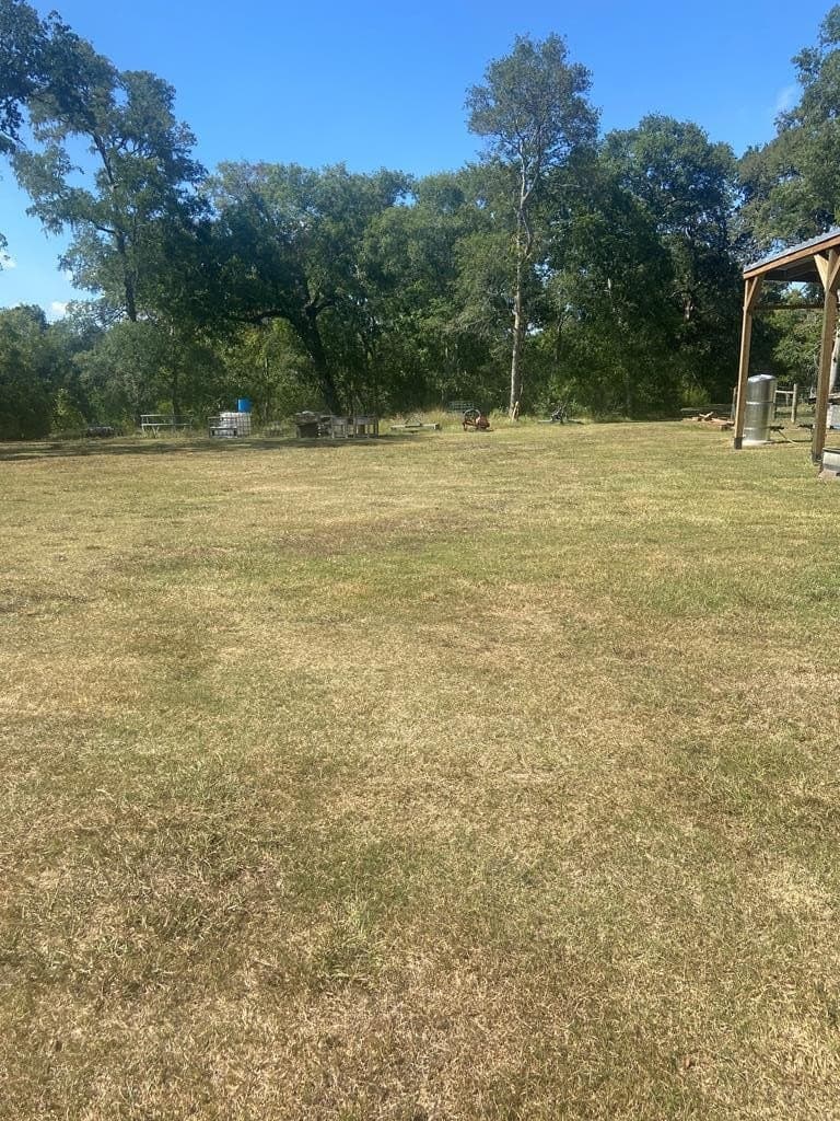20 acres in Texas County - photo 19
