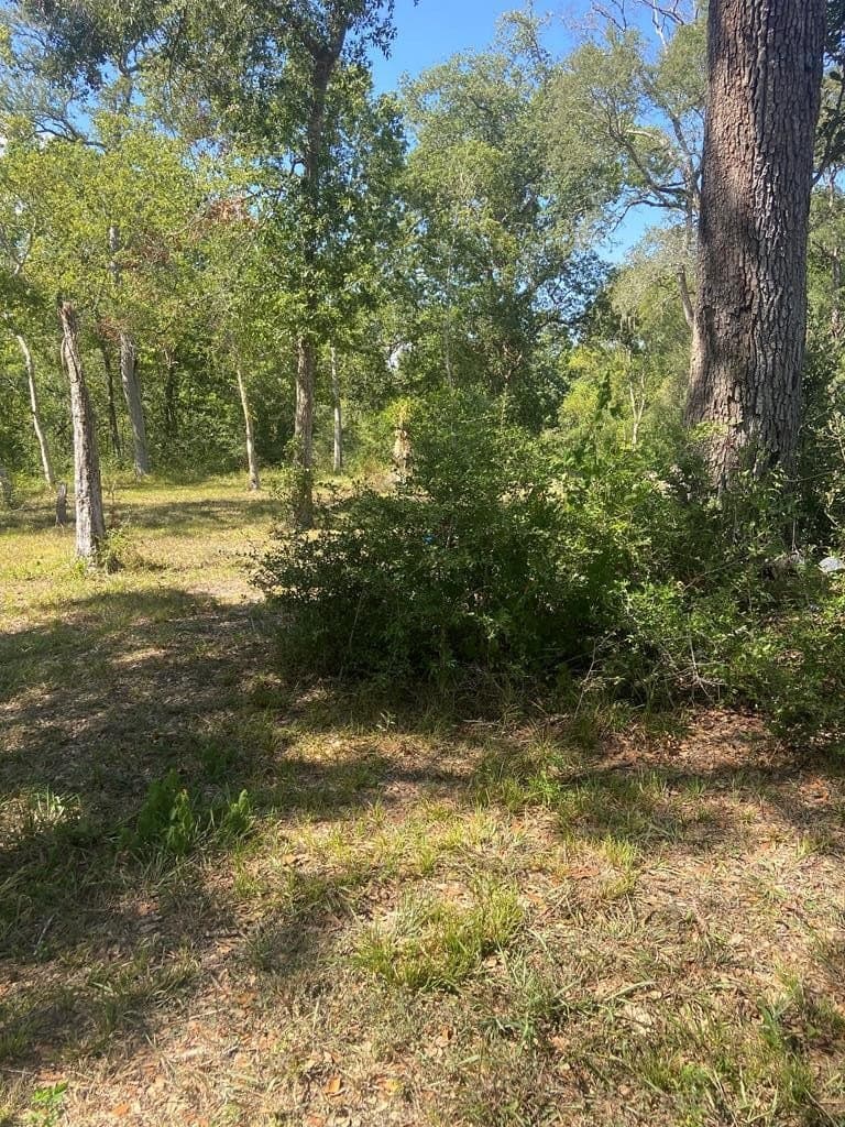 20 acres in Texas County - photo 9