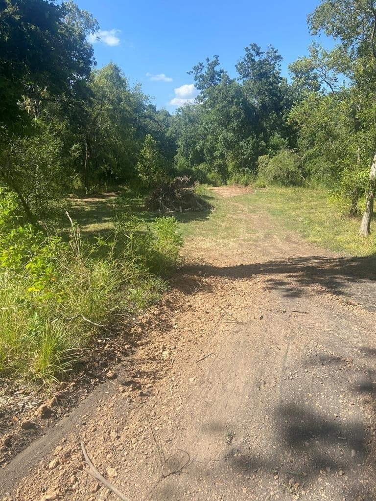 20 acres in Texas County - photo 14