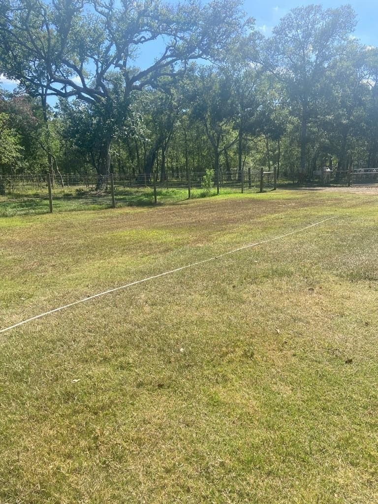 20 acres in Texas County - photo 29