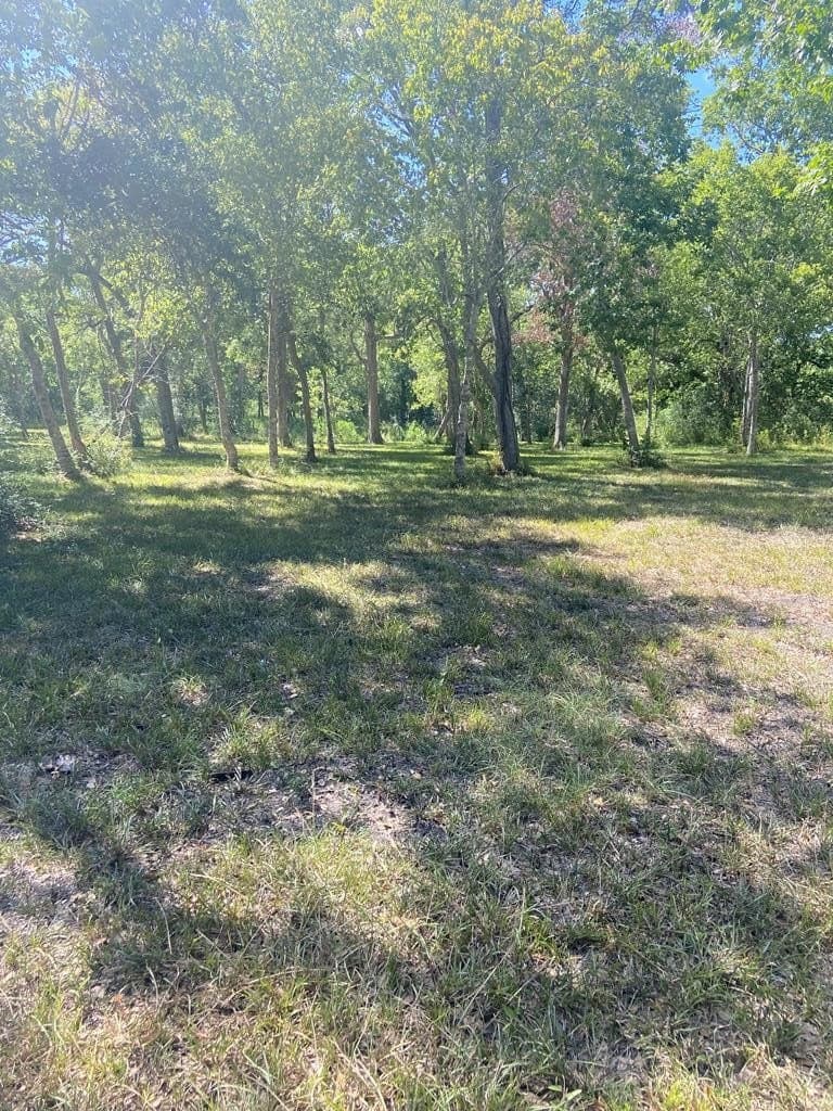 20 acres in Texas County - photo 10