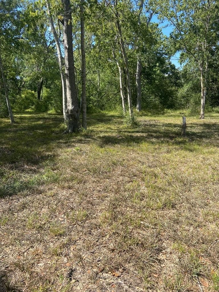 20 acres in Texas County - photo 12
