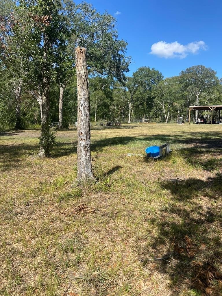 20 acres in Texas County - photo 13