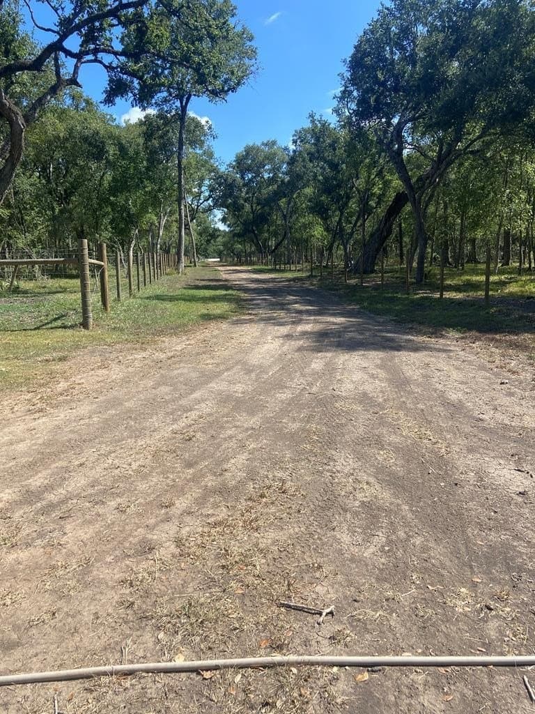 20 acres in Texas County - photo 5