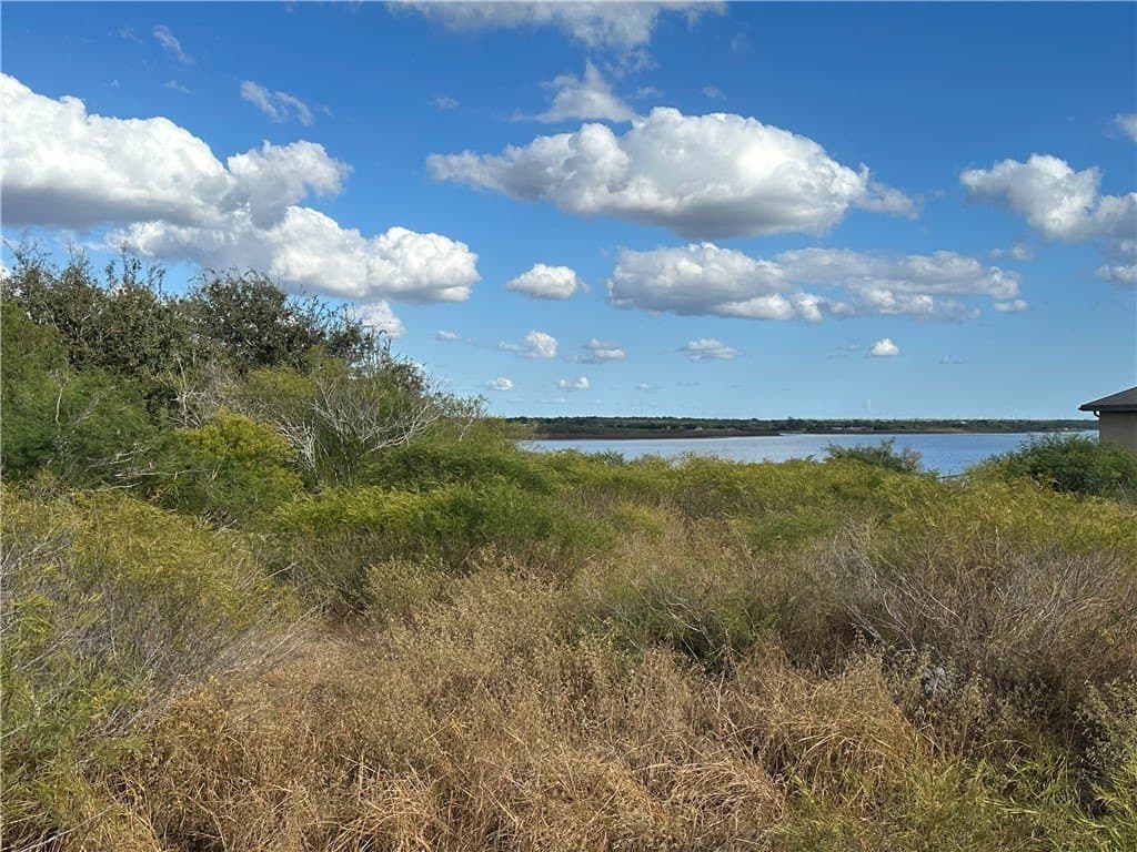 0.59 acres in Live Oak County - photo 5