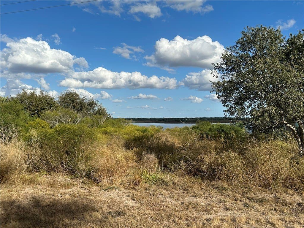 0.59 acres in Live Oak County - photo 4