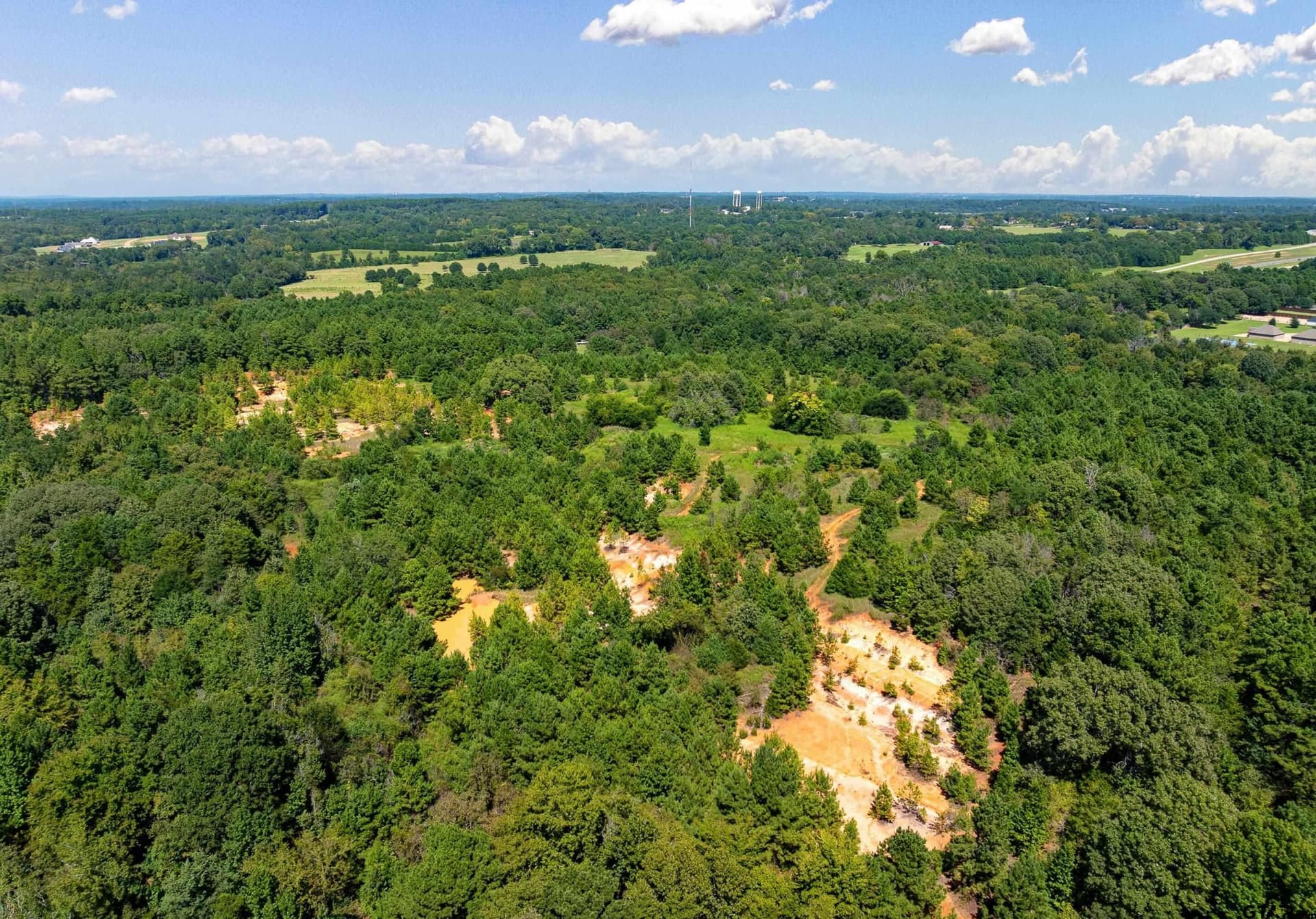 123 acres in Smith County - photo 5