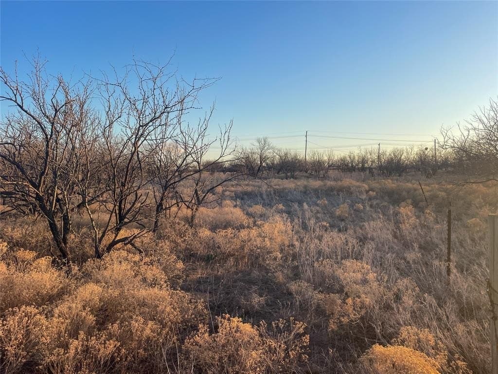 2.01 acres in Taylor County - photo 3
