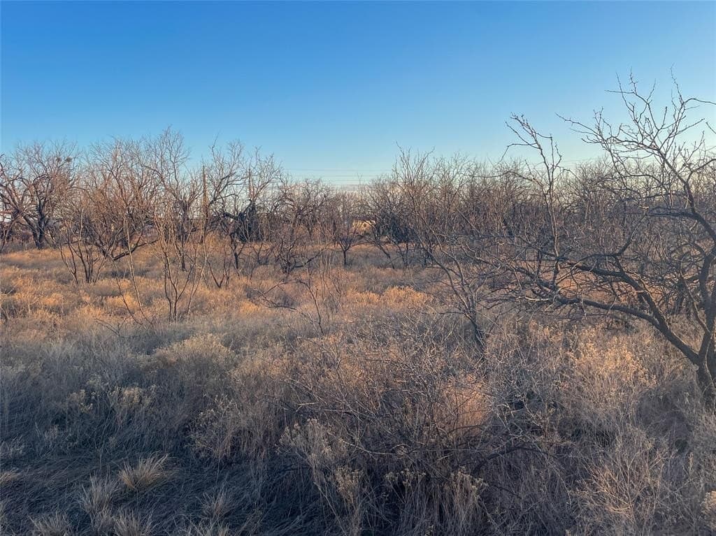 2.01 acres in Taylor County - photo 2