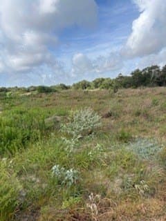 0 acres in Texas County - photo 2