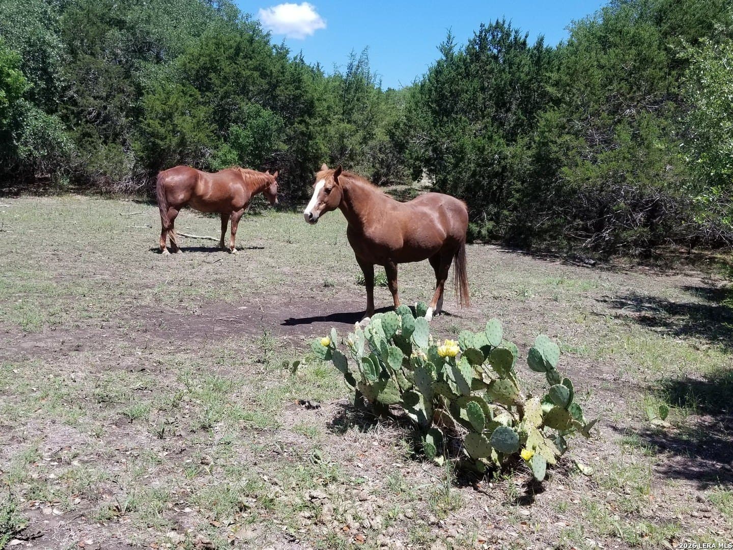 4.52 acres in Comal County - photo 2