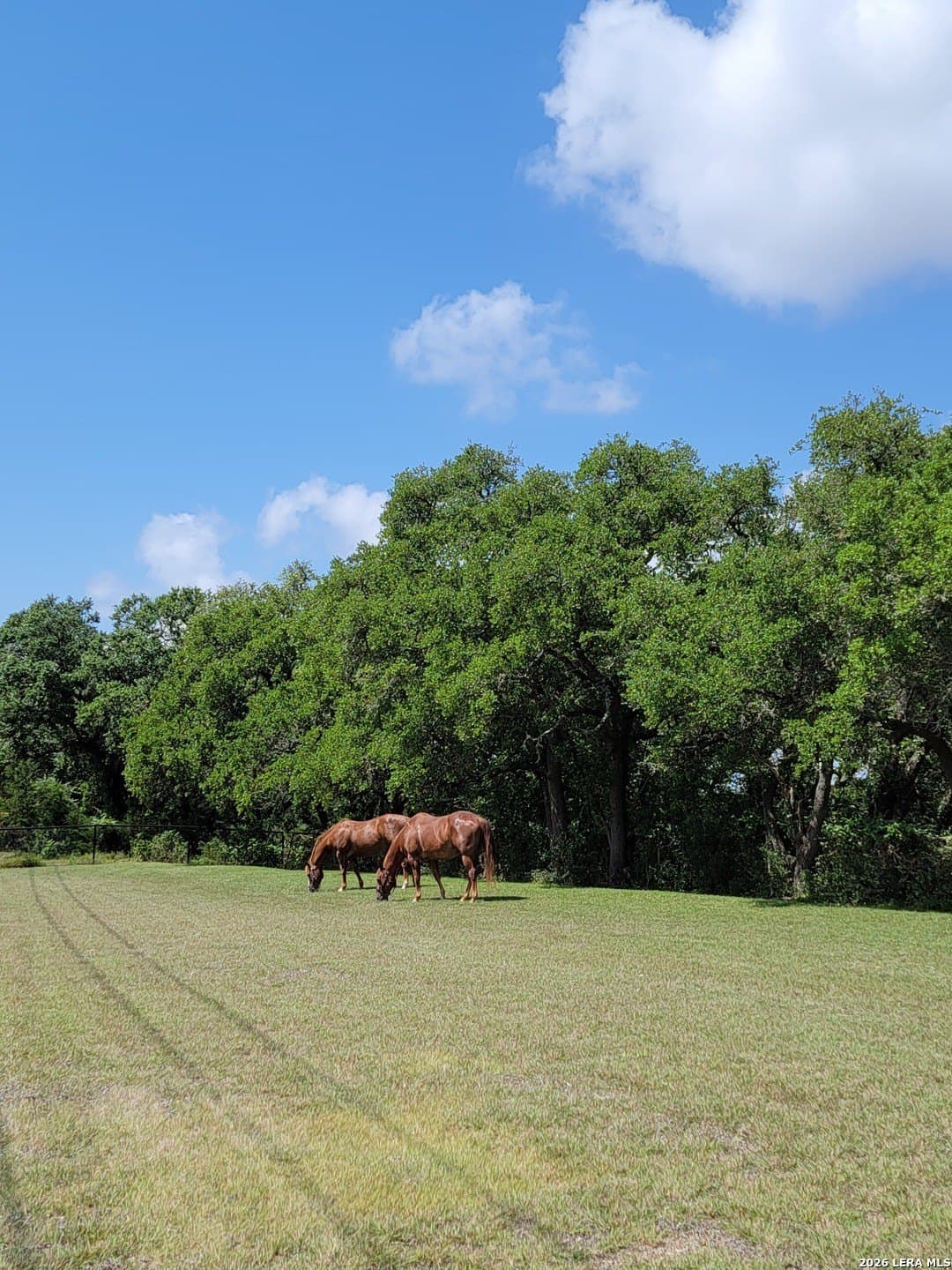 4.52 acres in Comal County - photo 4