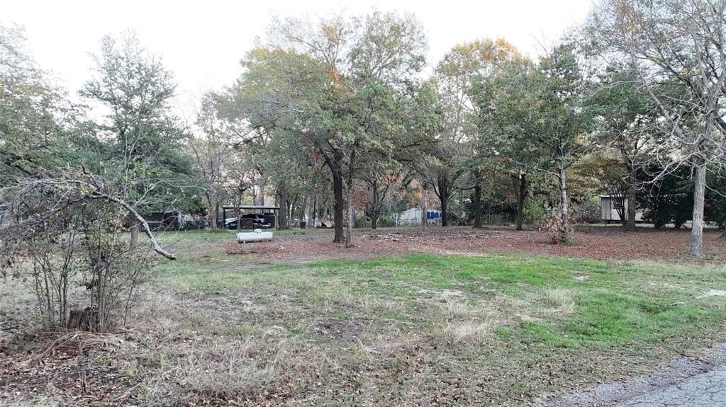 0.28 acres in Rains County - photo 3