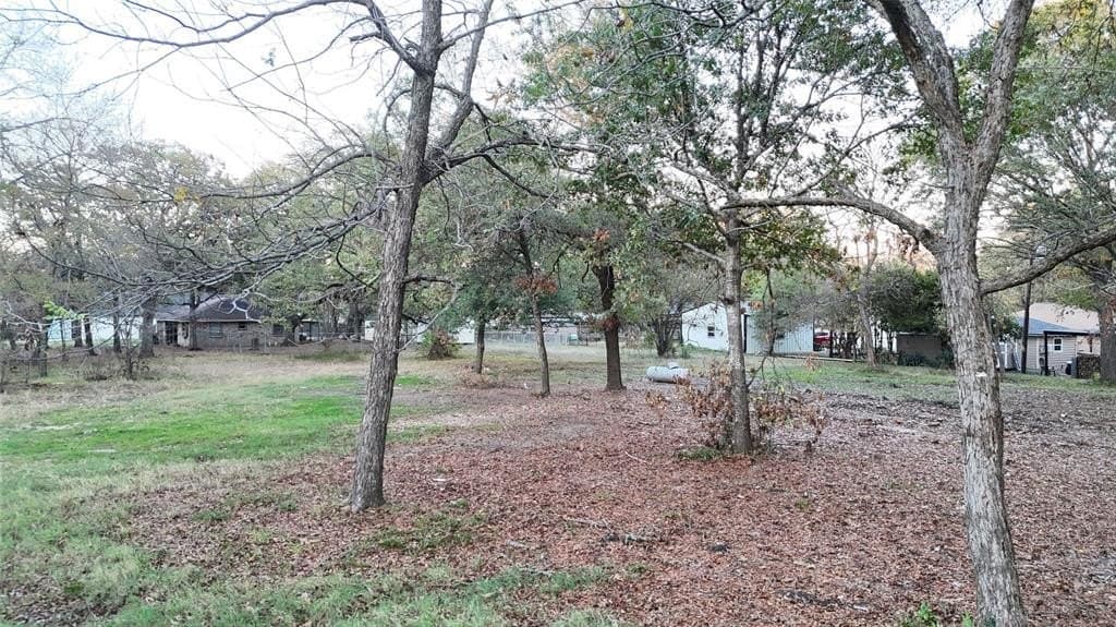 0.28 acres in Rains County - photo 5