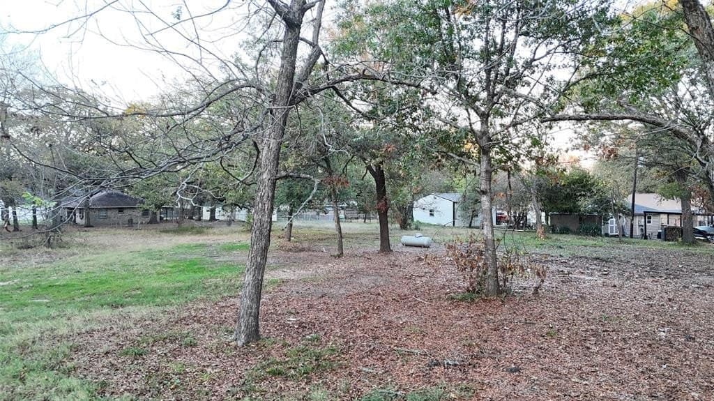 0.28 acres in Rains County - photo 4