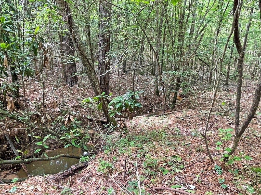 49.93 acres in Texas County - photo 21