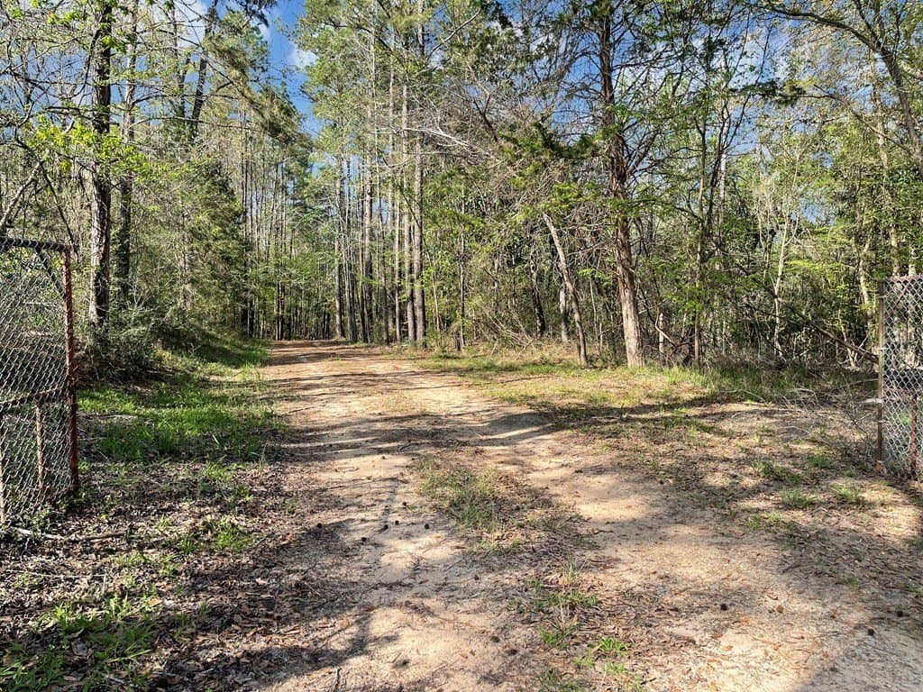 49.93 acres in Texas County - photo 22