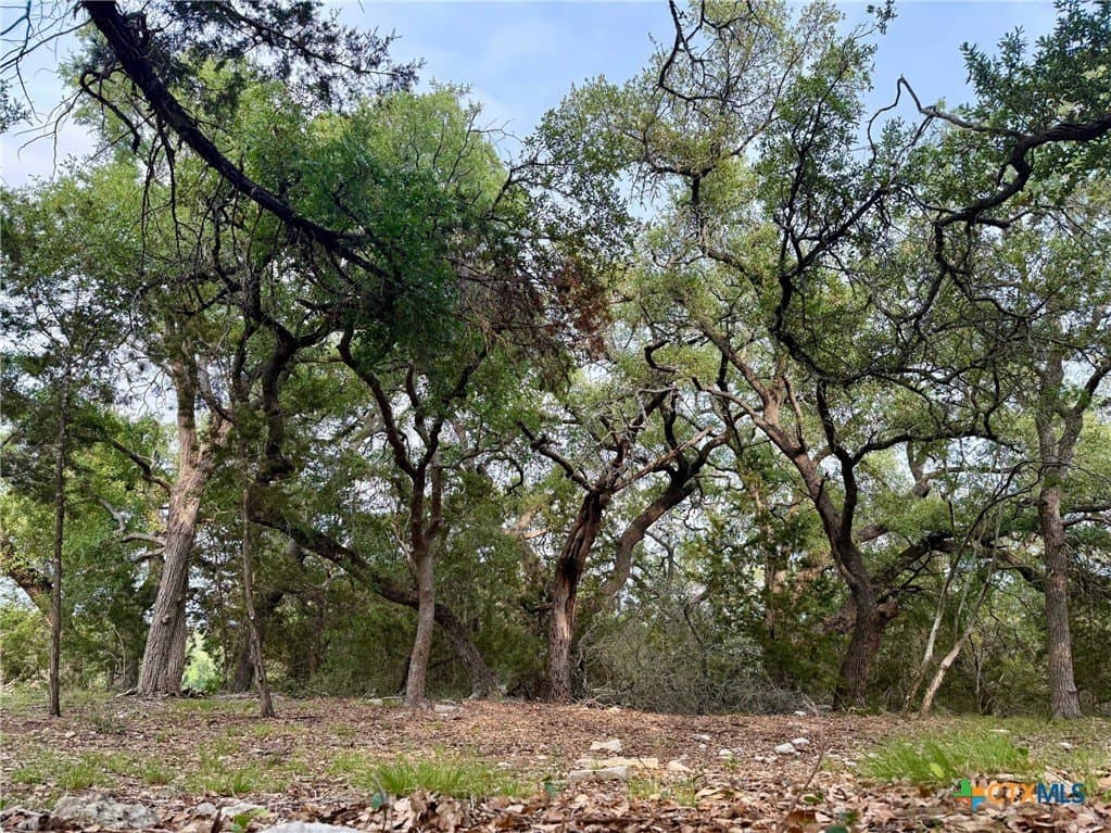 1.1 acres in Comal County - photo 3