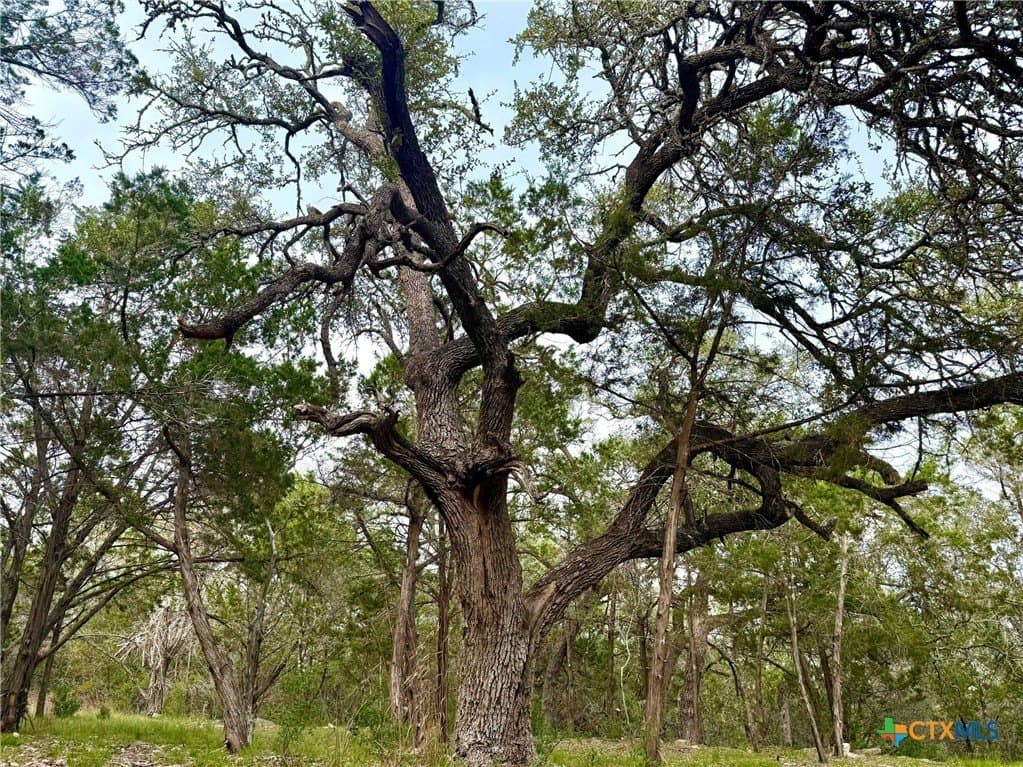 1.1 acres in Comal County - photo 2