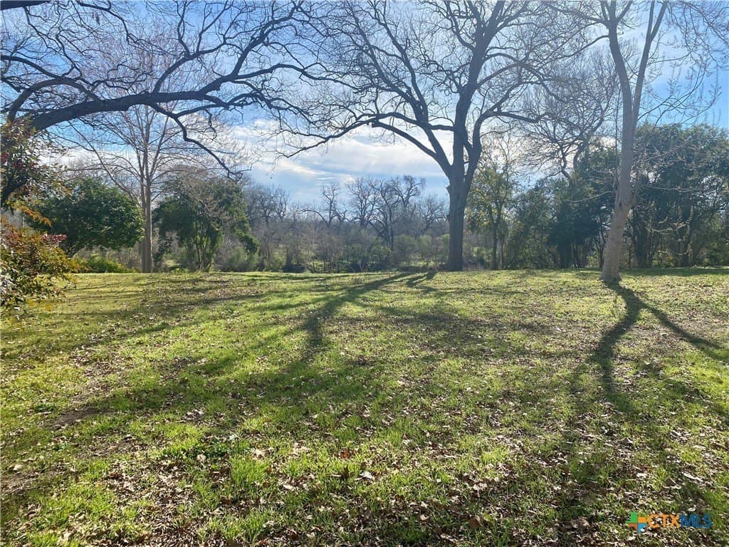 0.32 acres in Guadalupe County - photo 3