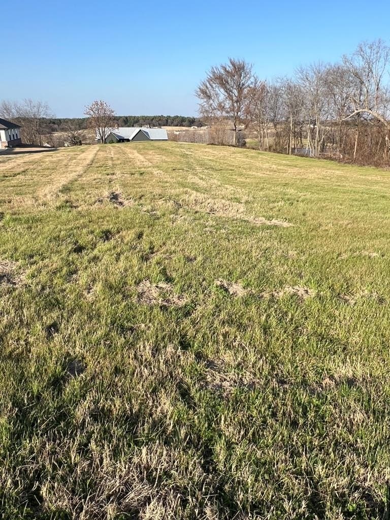 2.24 acres in Henderson County - photo 8