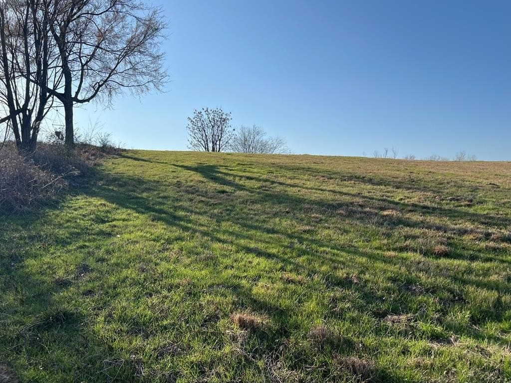 2.24 acres in Henderson County - photo 6