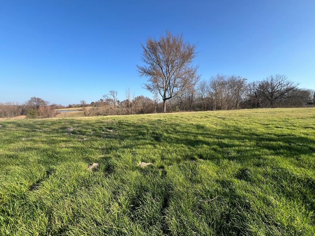 2.24 acres in Henderson County - photo 7