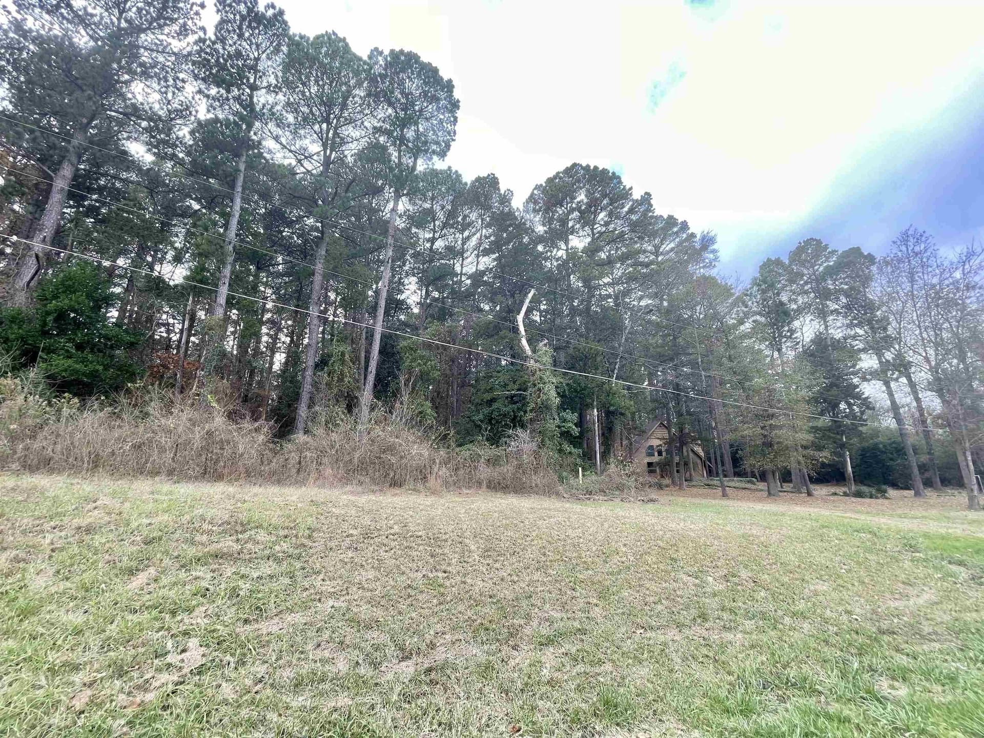 0.5 acres in Texas County - photo 3