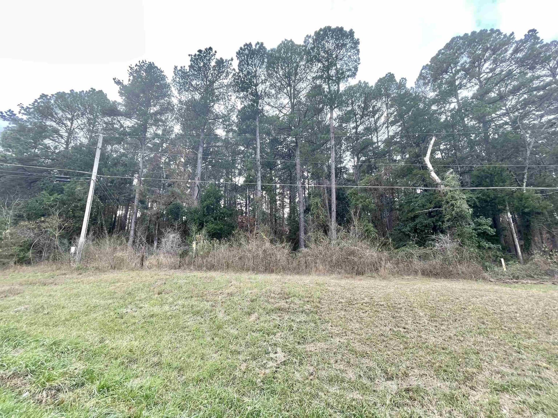 0.5 acres in Texas County - photo 4