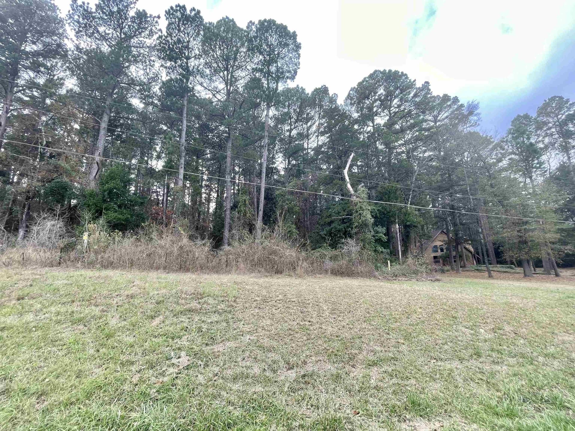 0.5 acres in Texas County - photo 5