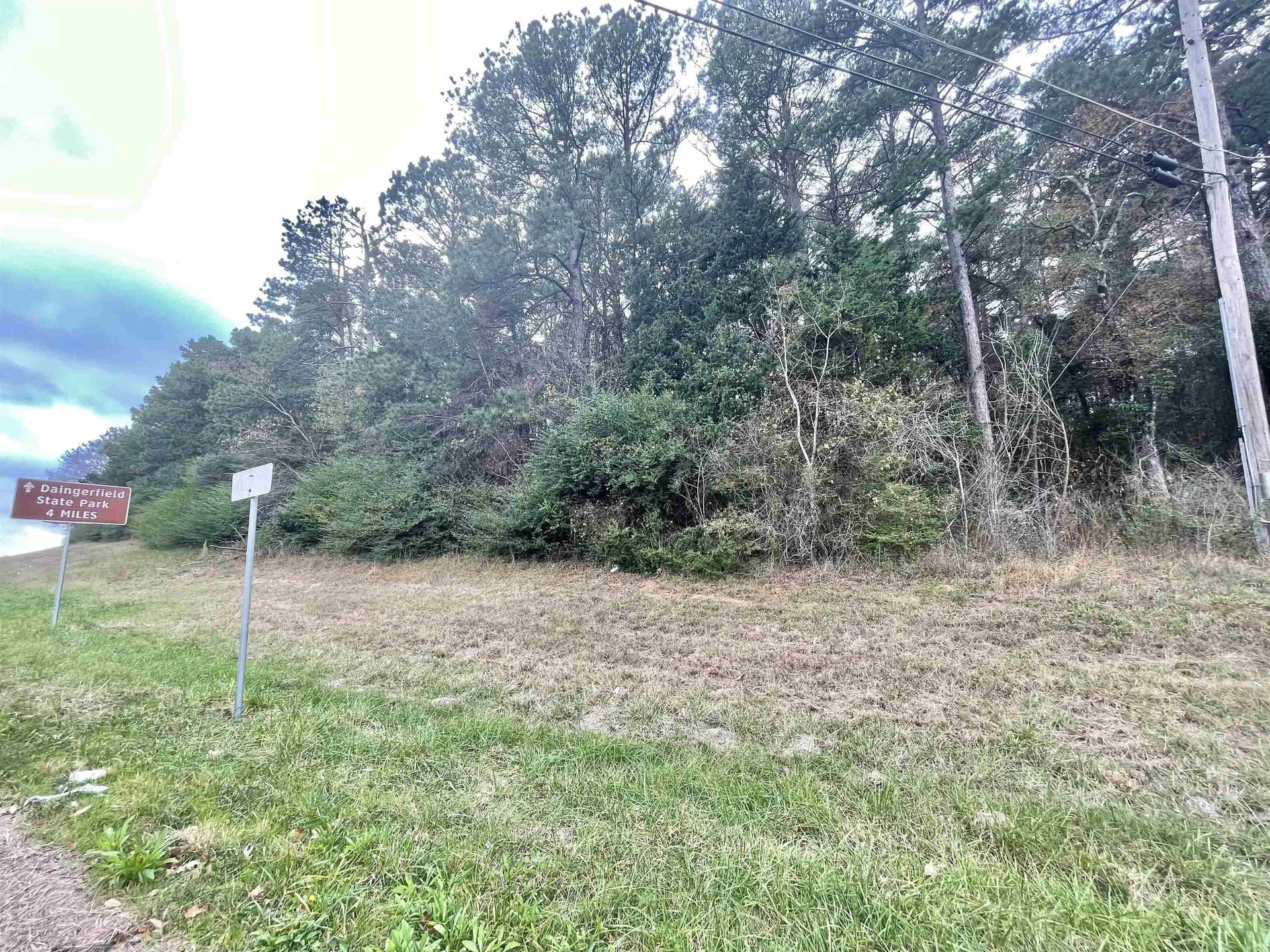 0.5 acres in Texas County - photo 7