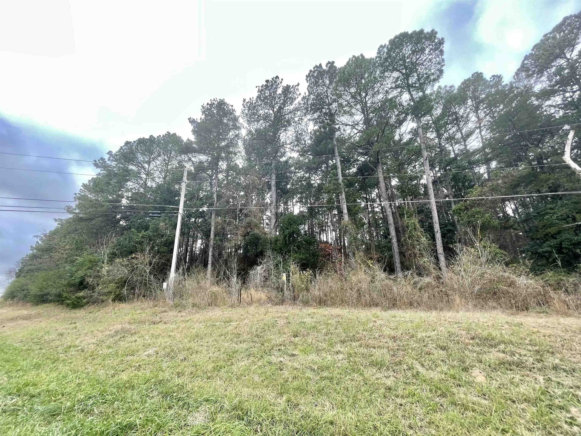 0.5 acres in Texas County - photo 2